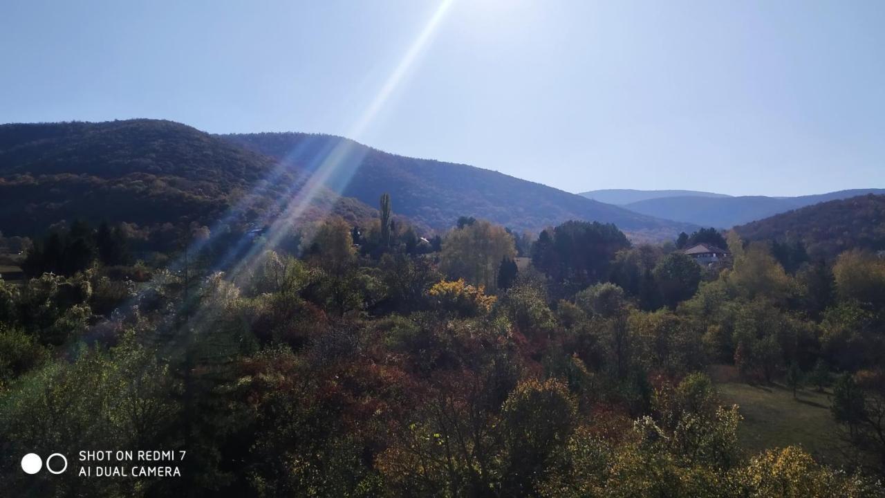 Sky Apartman Soko Banja Exterior foto
