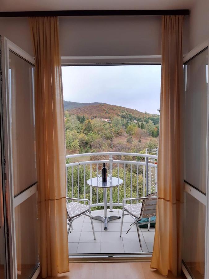 Sky Apartman Soko Banja Exterior foto