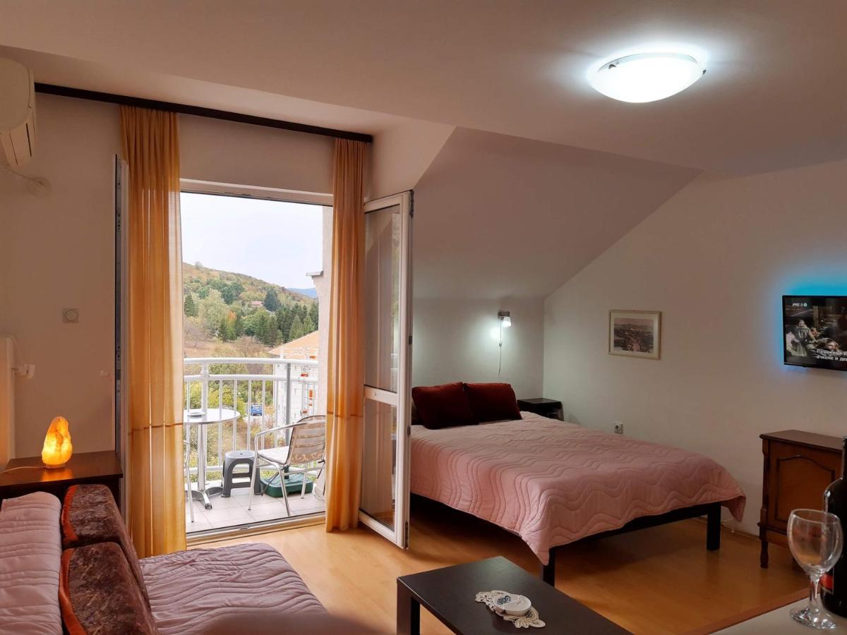 Sky Apartman Soko Banja Exterior foto